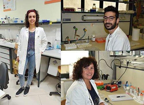 Parkinson: individuate mutazioni genetiche che causano la malattia nel 5% dei pazienti Parkinson: individuate mutazioni genetiche che causano la malattia nel 5% dei pazienti