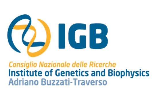 Assegno di ricerca all’Istituto di Genetica e Biofisica “Adriano Buzzati Traverso” del Cnr di Napoli Assegno di ricerca all’Istituto di Genetica e Biofisica “Adriano Buzzati Traverso” del Cnr di Napoli