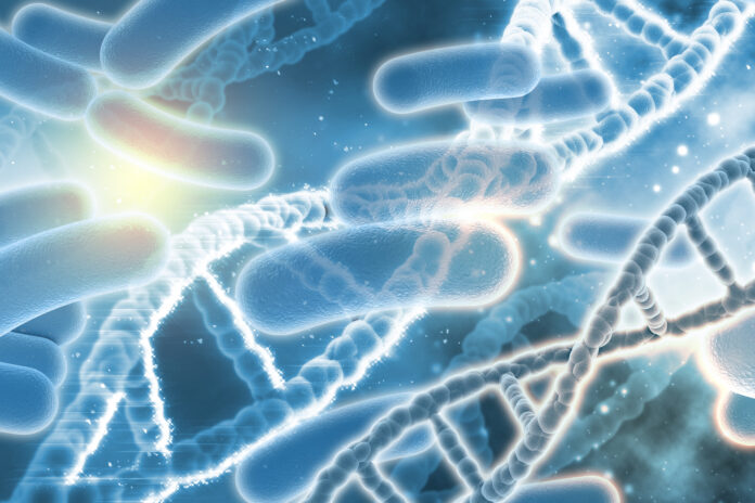 Legionella bononiensis: individuata una nuova specie di Legionella Legionella bononiensis: individuata una nuova specie di Legionella