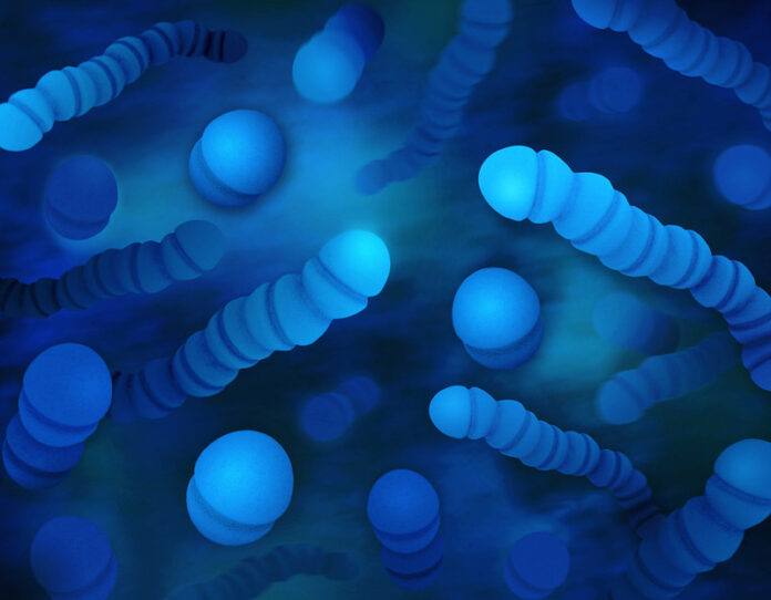 Streptococco A nei bambini, quali sono i sintomi e come riconoscere l’infezione Streptococco A nei bambini, quali sono i sintomi e come riconoscere l’infezione